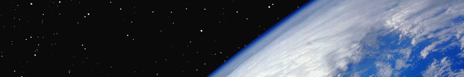 菩提老王的葡萄架